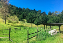 Kenscoff : le maire Jean Massillon tire la sonnette d’alarme après l’incendie de WinFarm