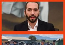 Haïti : Nayib Bukele exige la libération de quatre militaires salvadoriens et envisage de nouveaux renforts